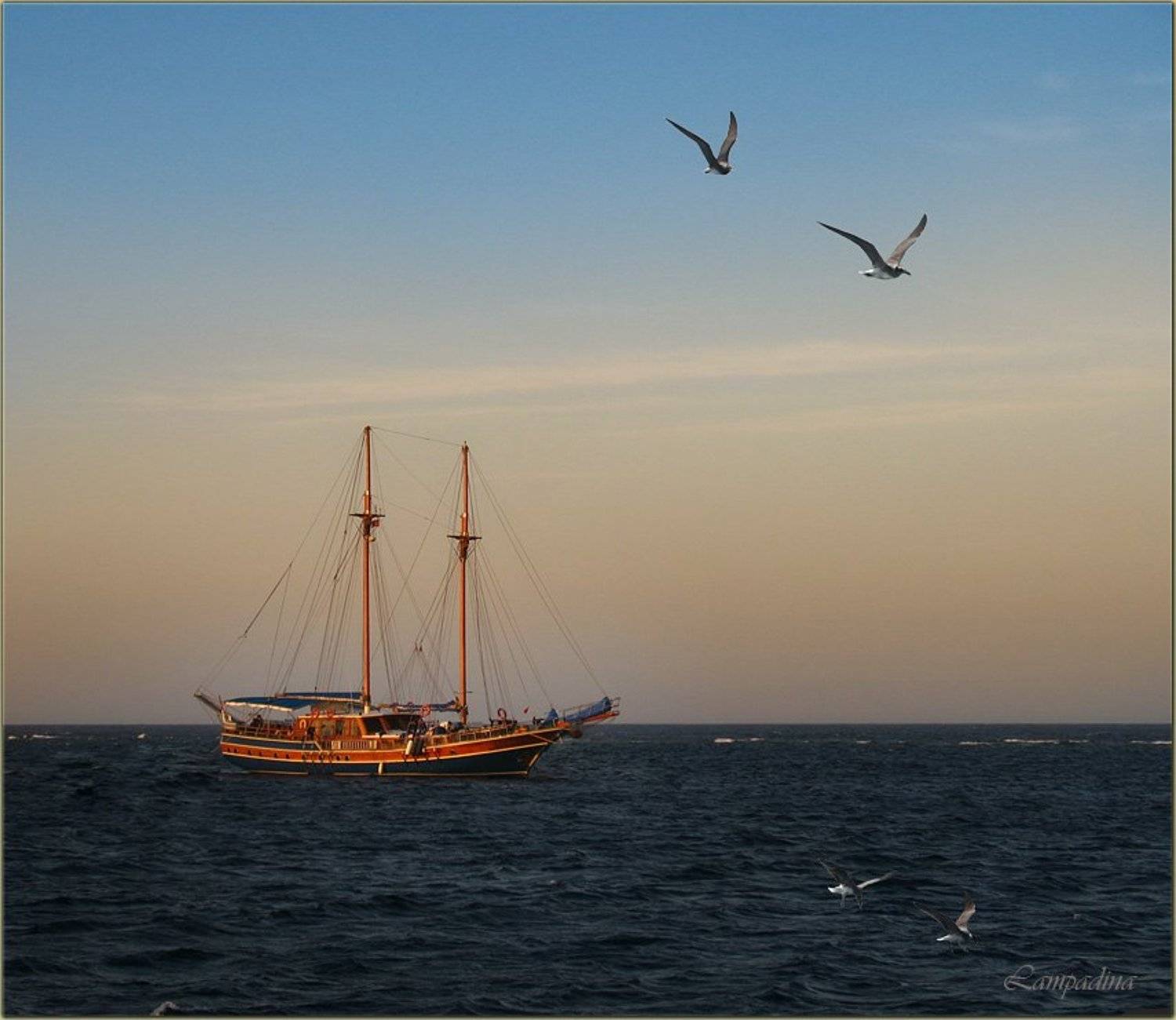 красное море, судан, яхта, чайки, вечер, lampadina