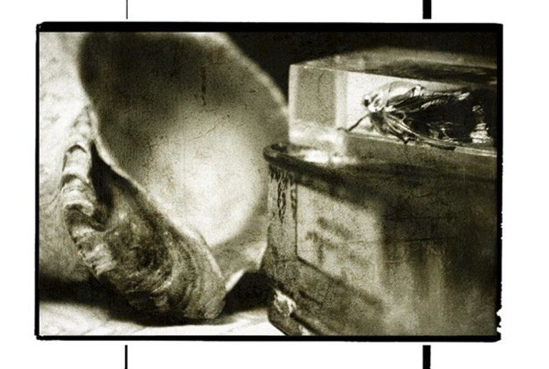 Крошка Цахес. фото превью