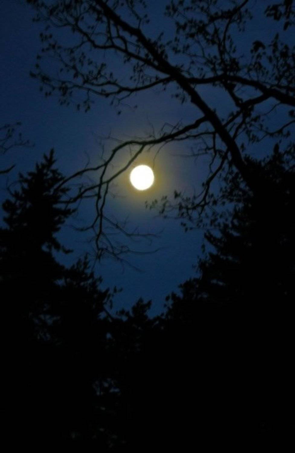 луна, ночь, Tatiana Rozanova