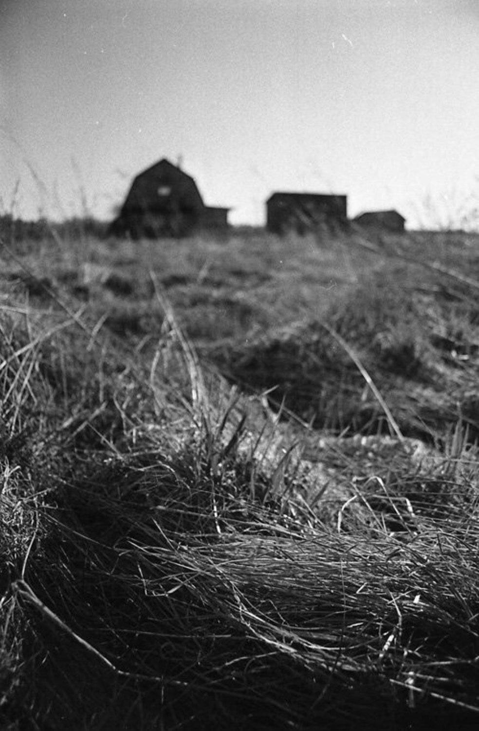 35мм, пленка, ч/б, Berezin Saveliy