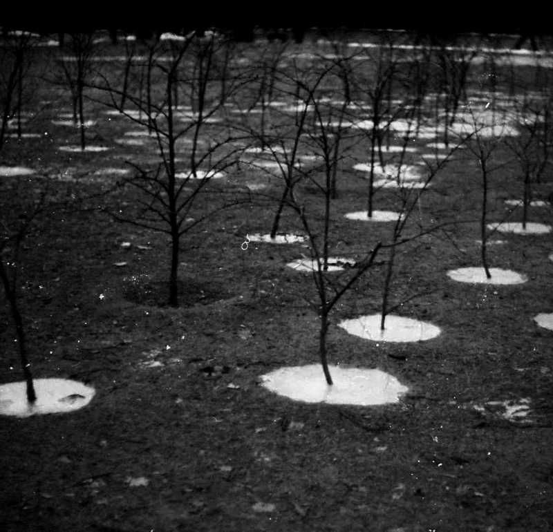 уже,еще,?, Deep in Violet