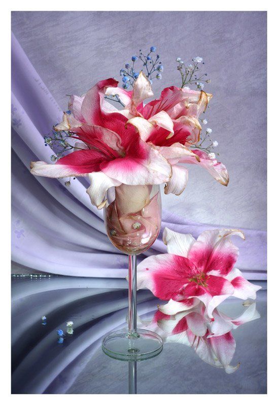 лилии, лепестки роз, световая кисть Коктейль из лилий фото превью