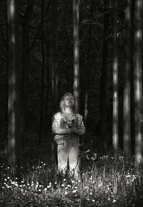 маленькая девочка в темном лесу фото превью