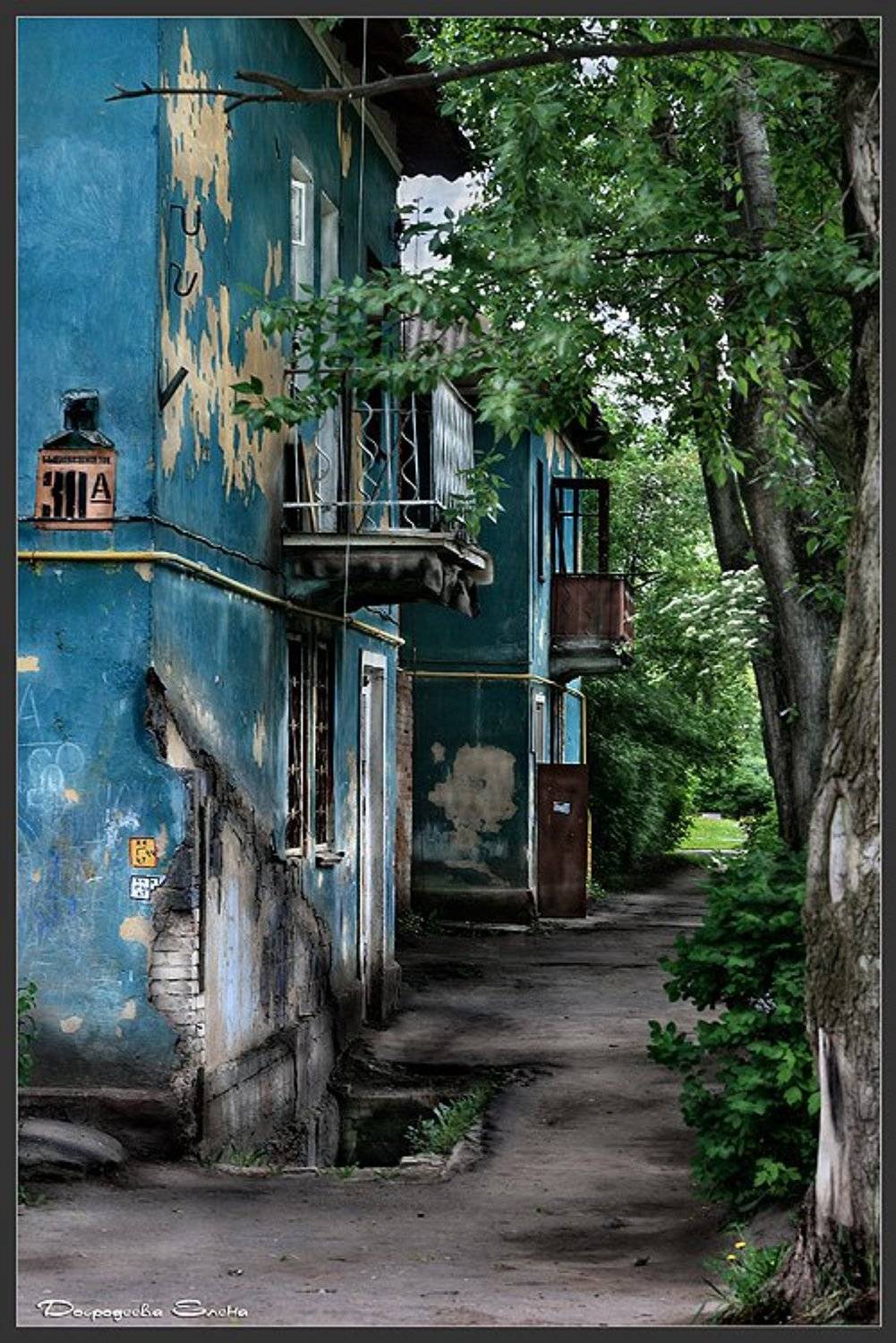 , Добродеева Елена (Алёнка)