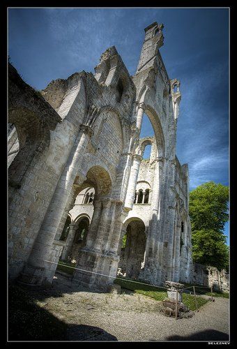 les ruines de la vieille abbaye
