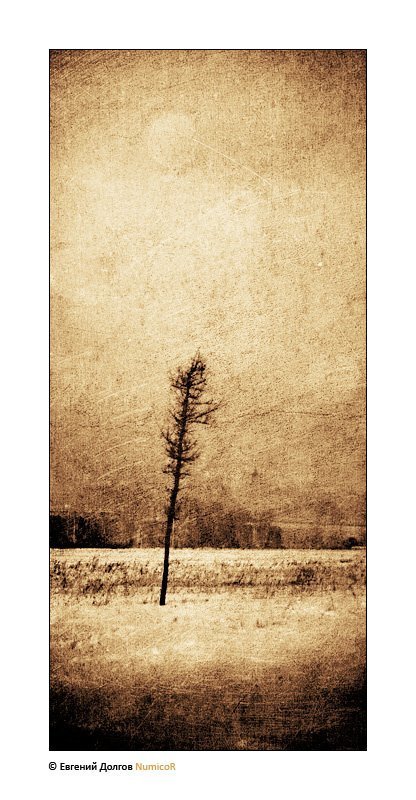 зима, снего, небо, коллаж, дерево, поле *** фото превью