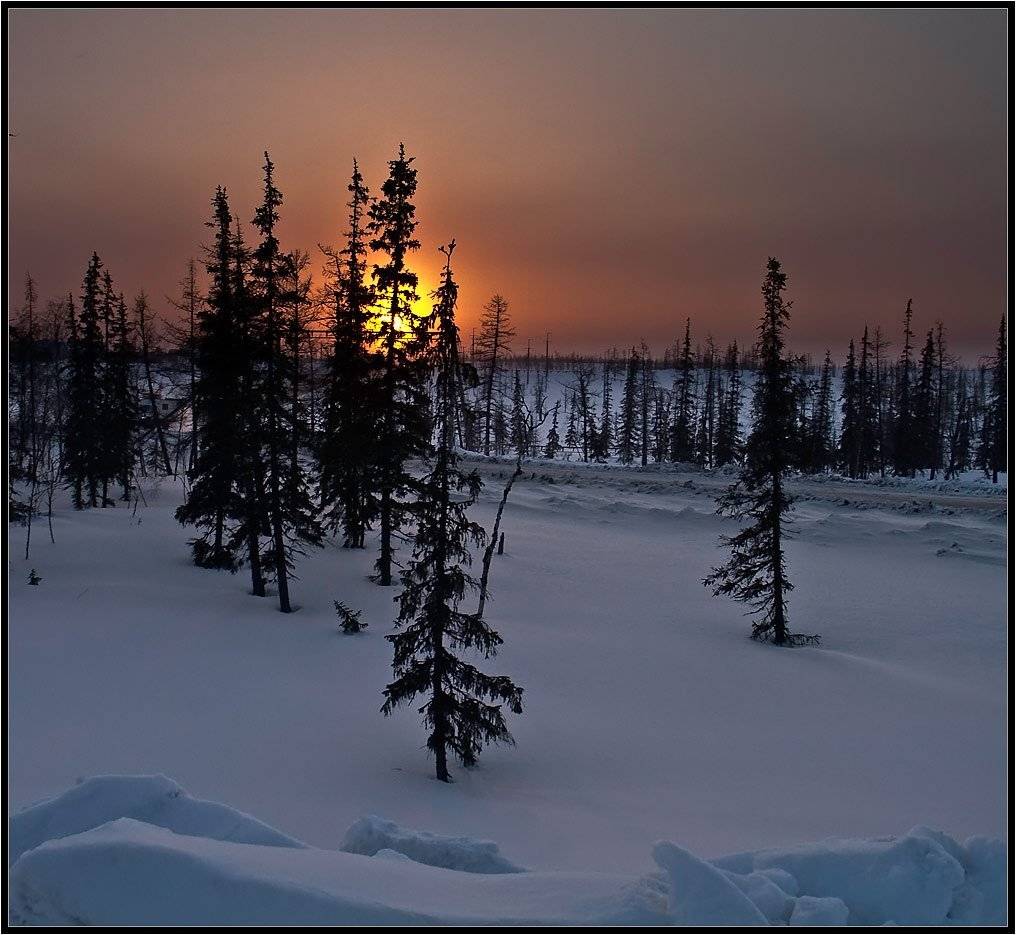 , Дмитрий Милосердов