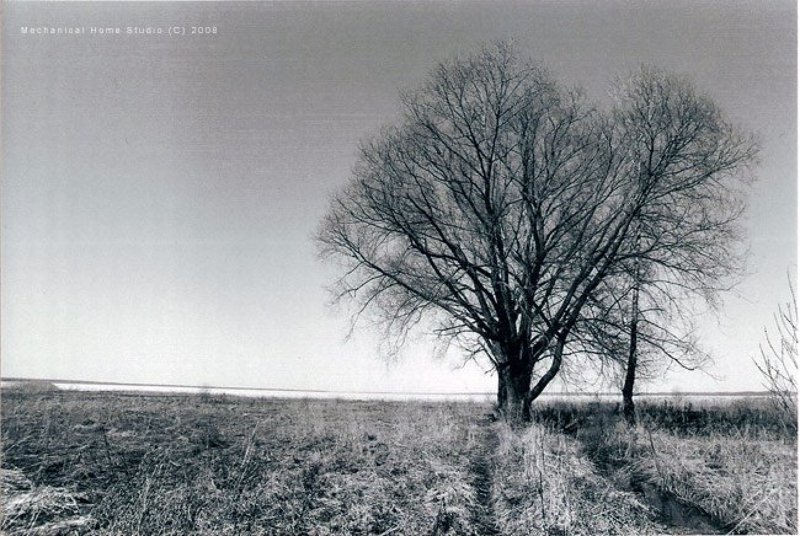 dark folk ... фото превью