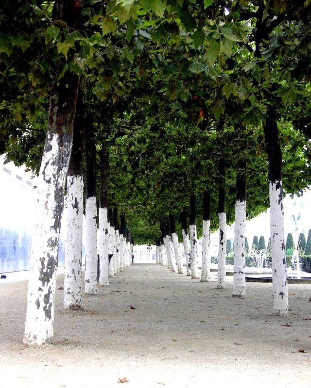 тоска... фото превью