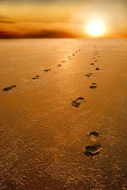 следы,солнце,пустыня,эльтон,татаринцев Нелегкий путь .... фото превью