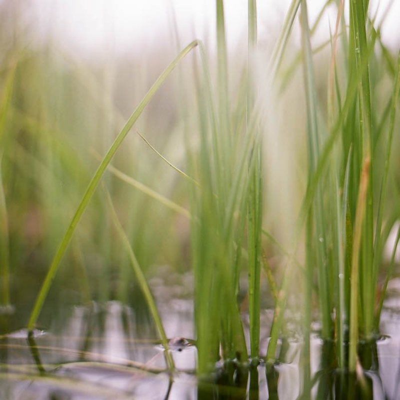 6x6, 120, киев-6с, волна-3, kodak porta 160 vc *** фото превью