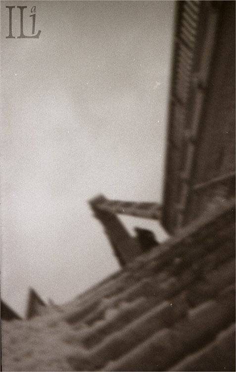 ступени, Илья Панфилов