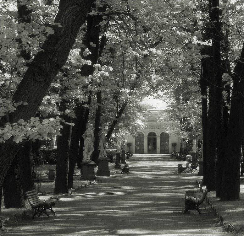 петербург, весна, летний сад, утро, Kirill Shapovalov