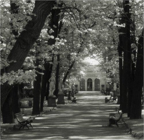 Эфирная (растворение #2)