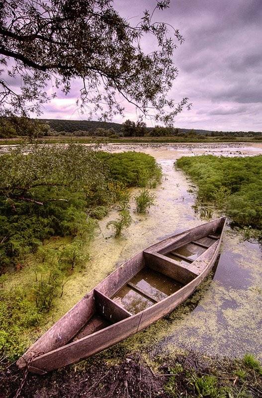 токарь дмитрий, харьковская обл., Токарь Дмитрий