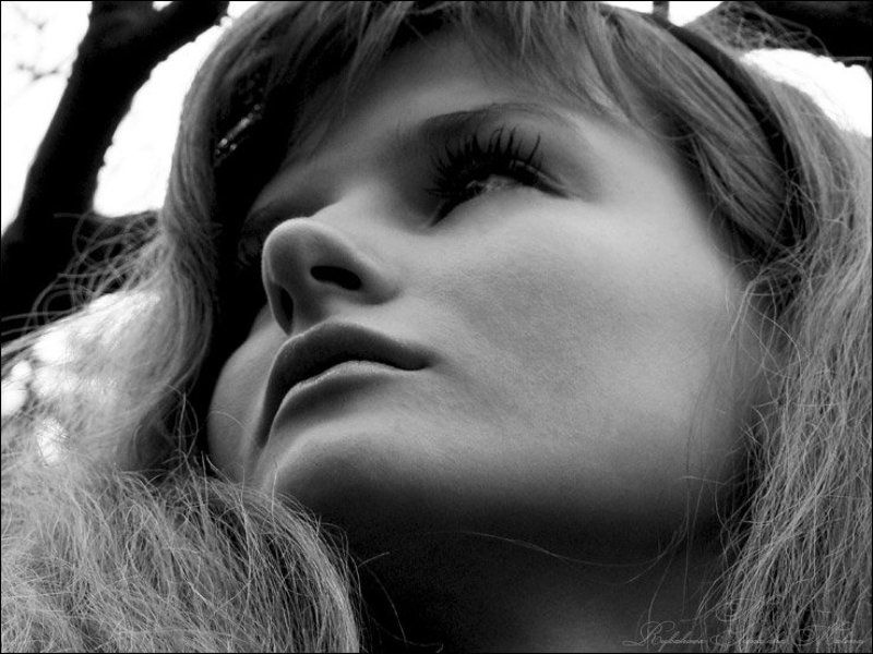 ...про портрет... фото превью