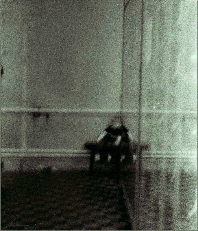 somewhere,nowhere, Deep in Violet