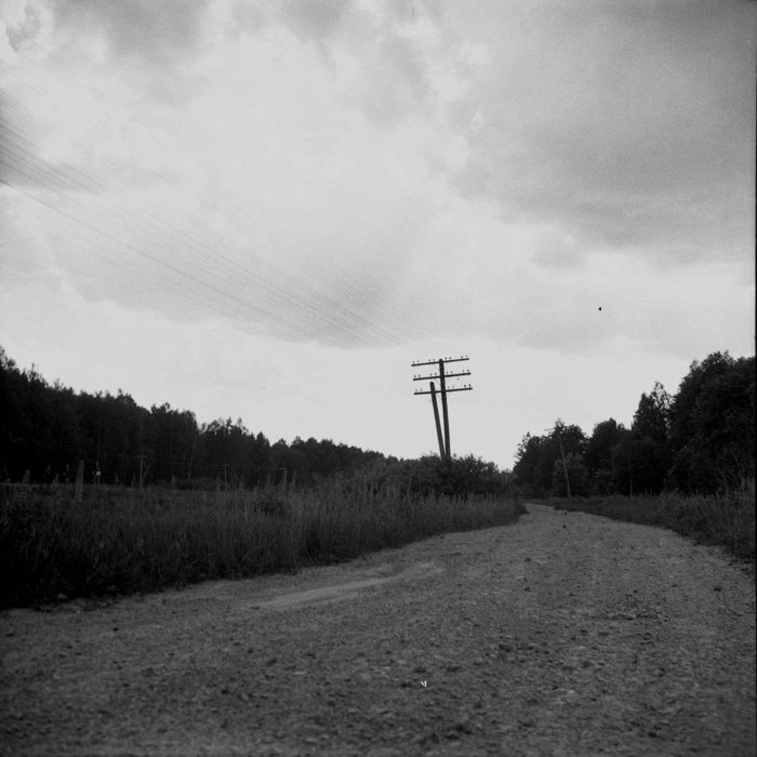 пленка, чб, 6x6, Berezin Saveliy