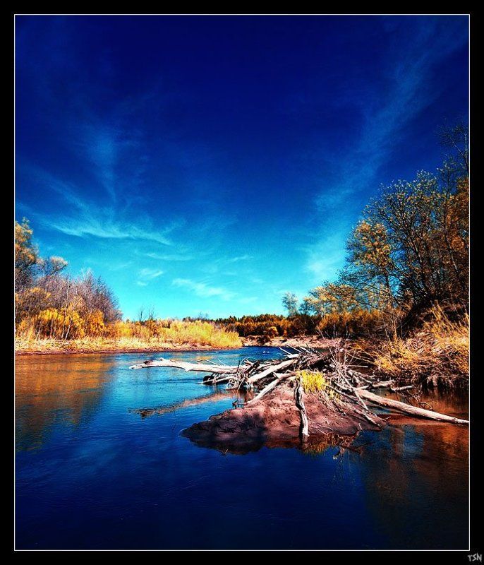 Лесная речка фото превью