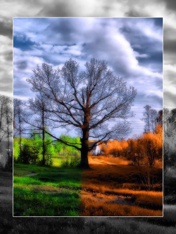 Смена фото превью