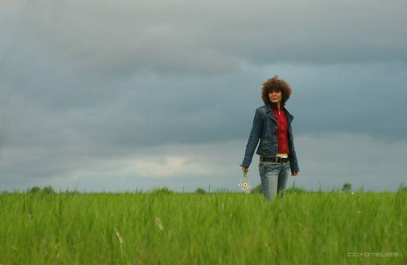 в пути фото превью