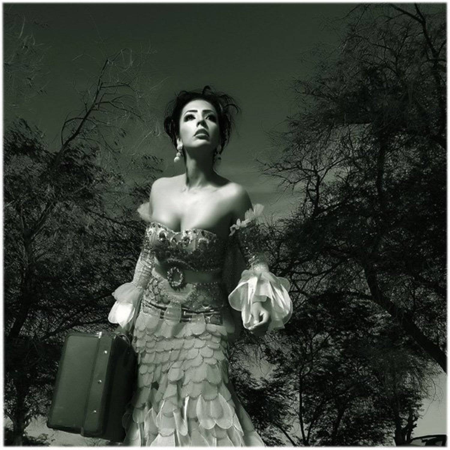 portfolio,advertising,kuwait, Alexey