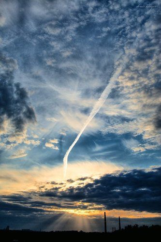 Жизненный закат