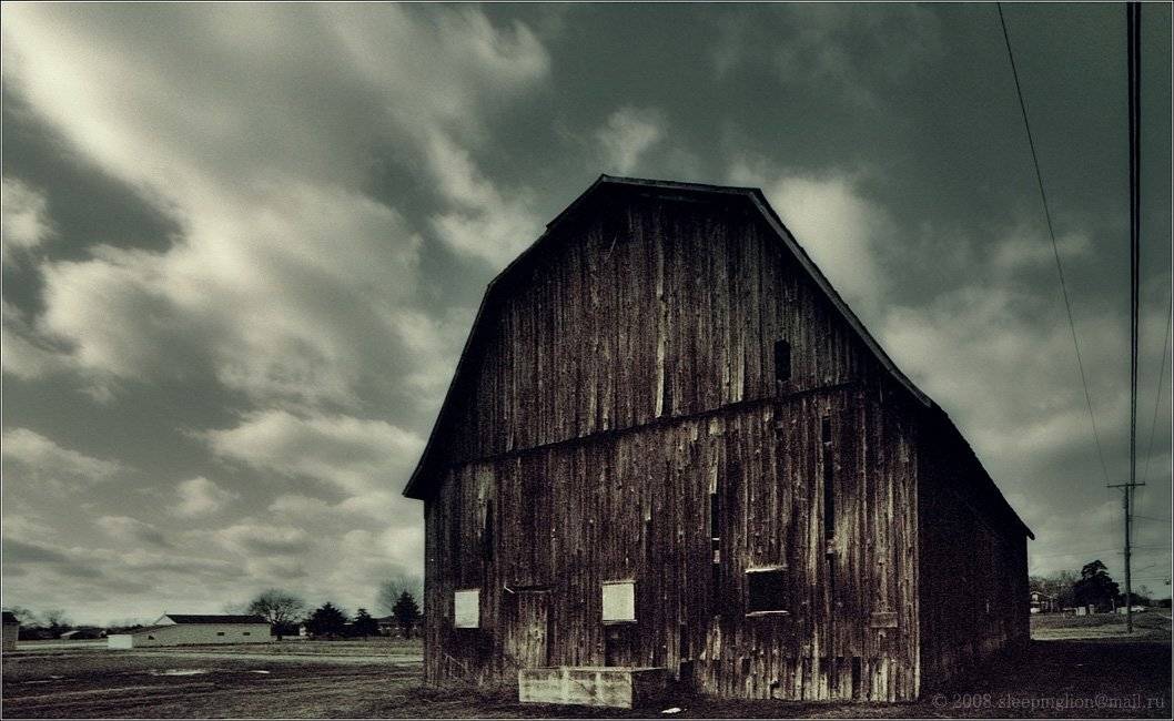 pilgrim, пейзаж, пленка, 35 мм, pentax pz-1, kodak bw400cn, Pilgrim