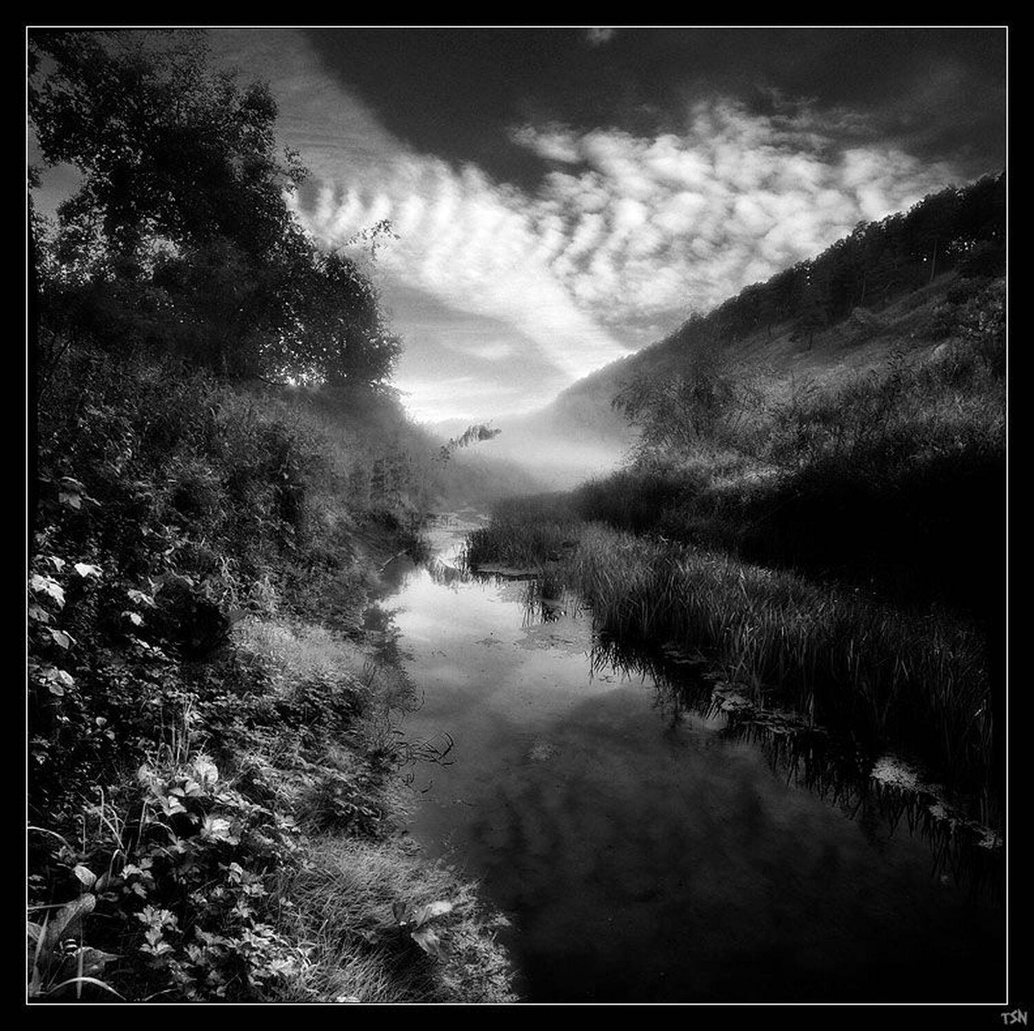 , Сергей Требунских