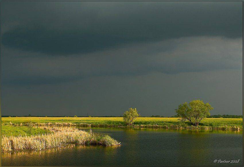 весна озеро гроза, Partner