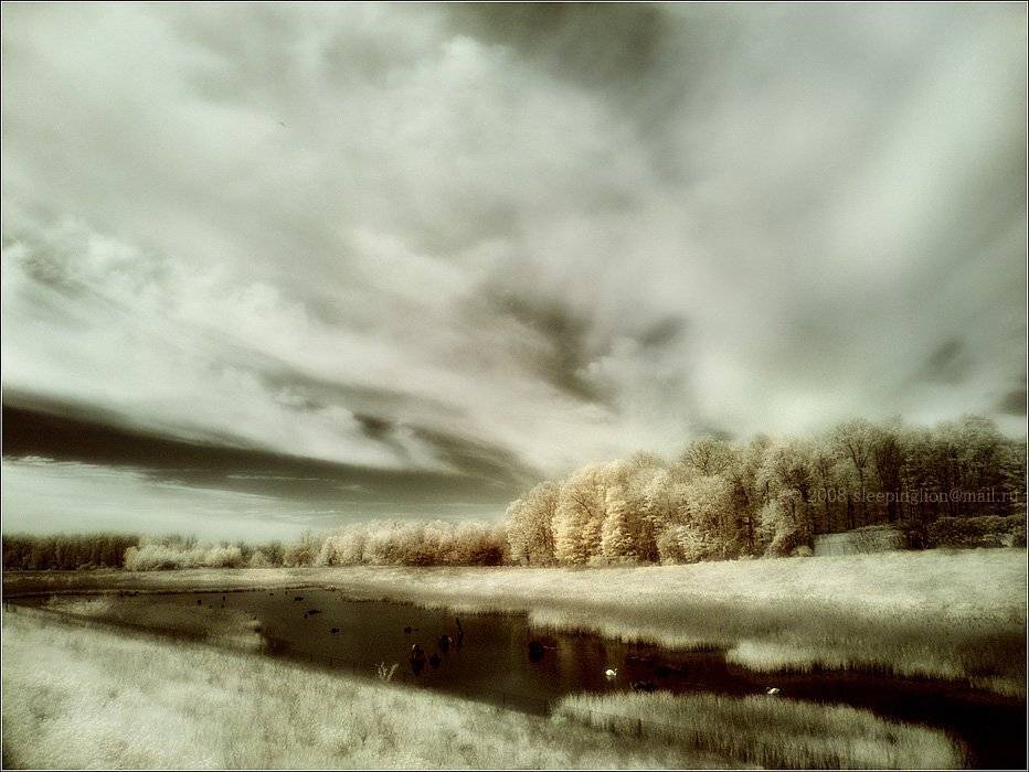 ик, пейзаж, infrared, инфракрасный, инфракрасное, pilgrim, hoya r72, minolta dimage 7, Pilgrim