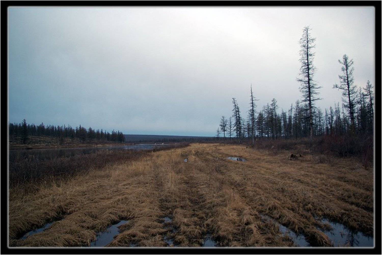 река,берег,тайга,ночь,весна, Солодухин Виктор