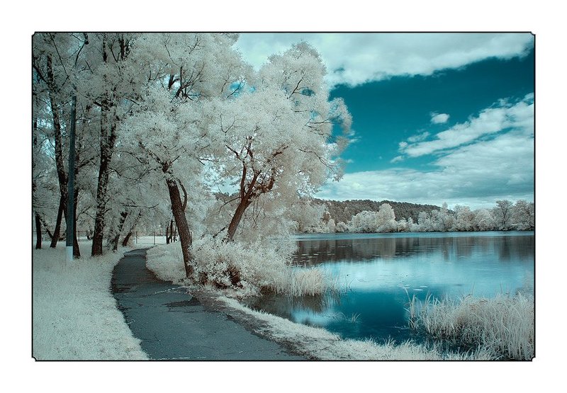 ик, infra red, инфракрасная съемка Синий, синий, иней. 2. фото превью