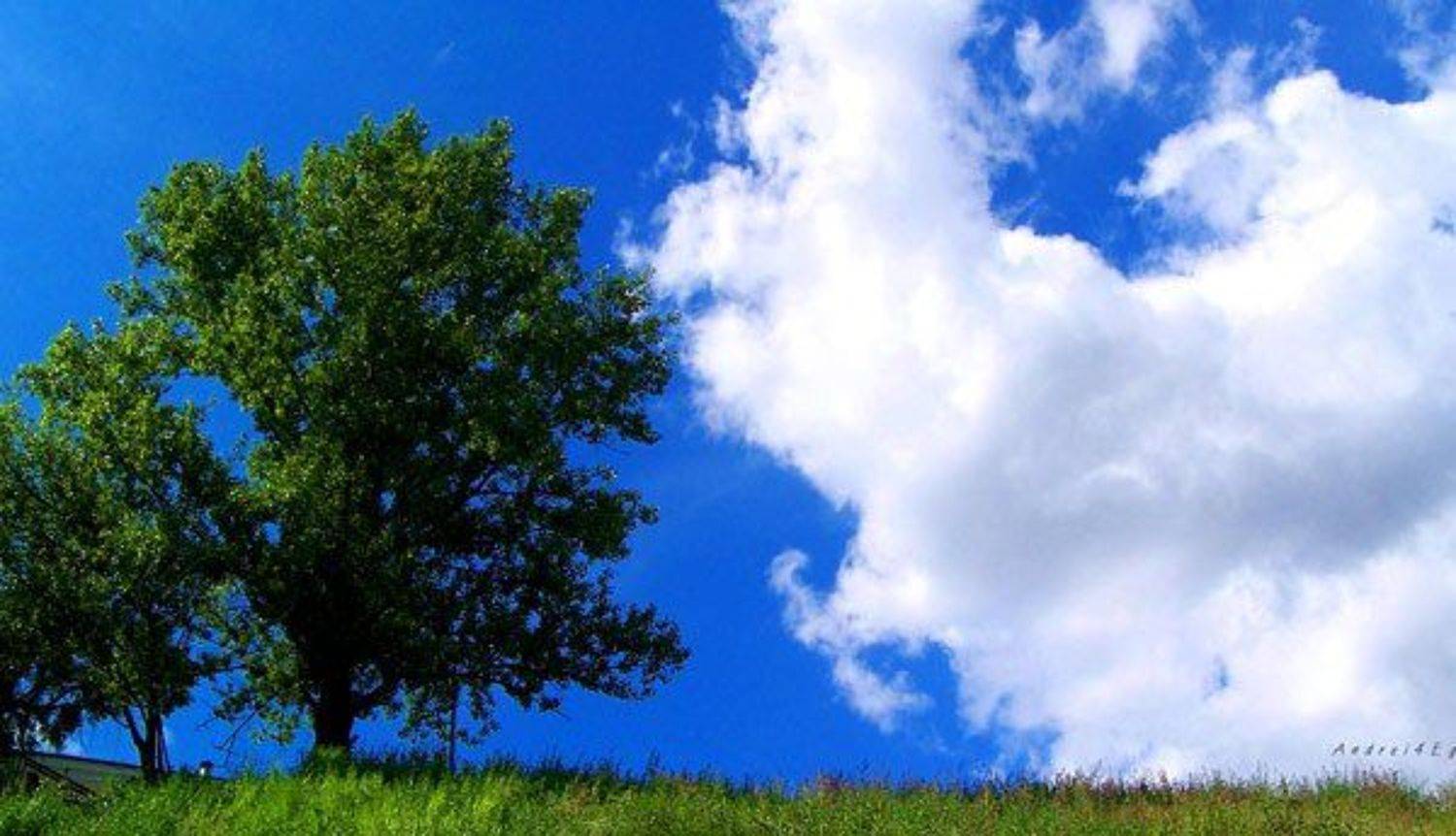 , Андрей Пипченко