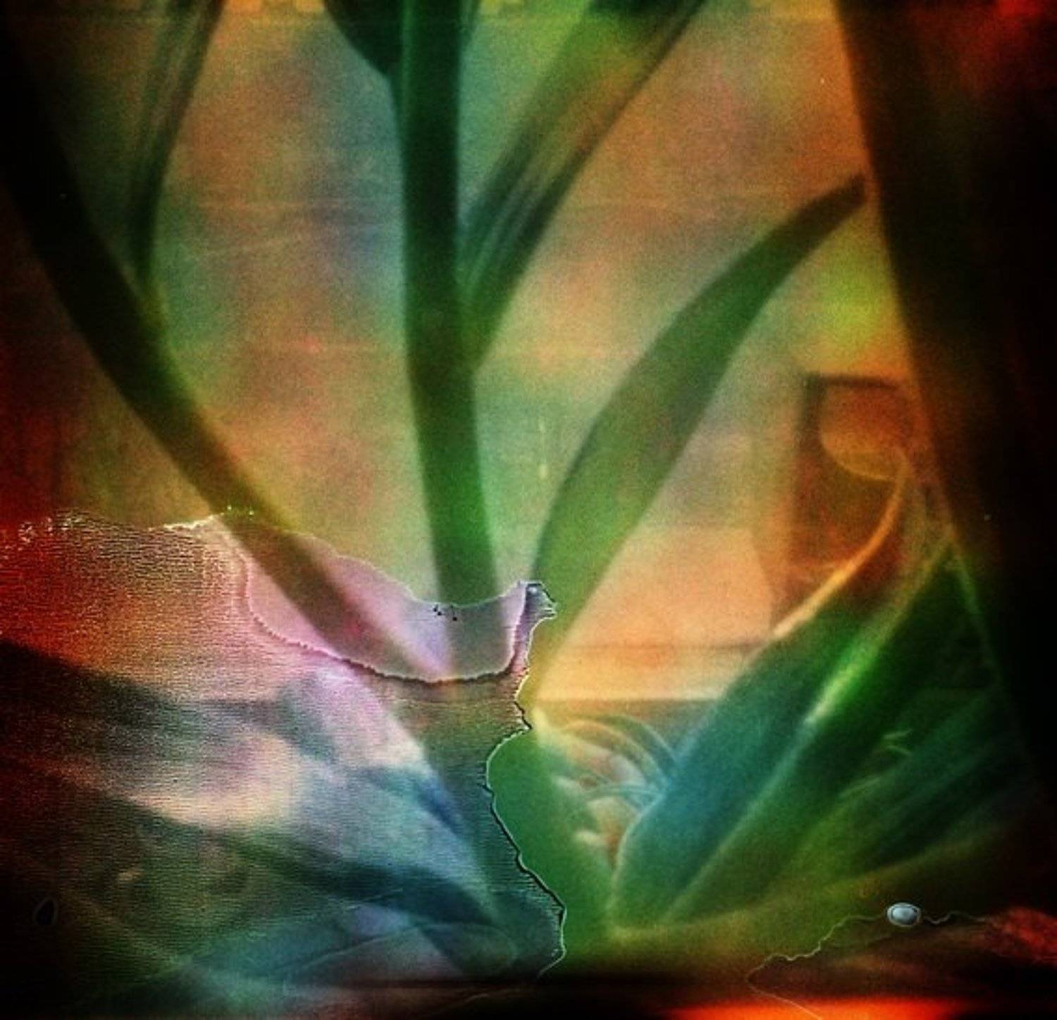 , Денис Хоменков