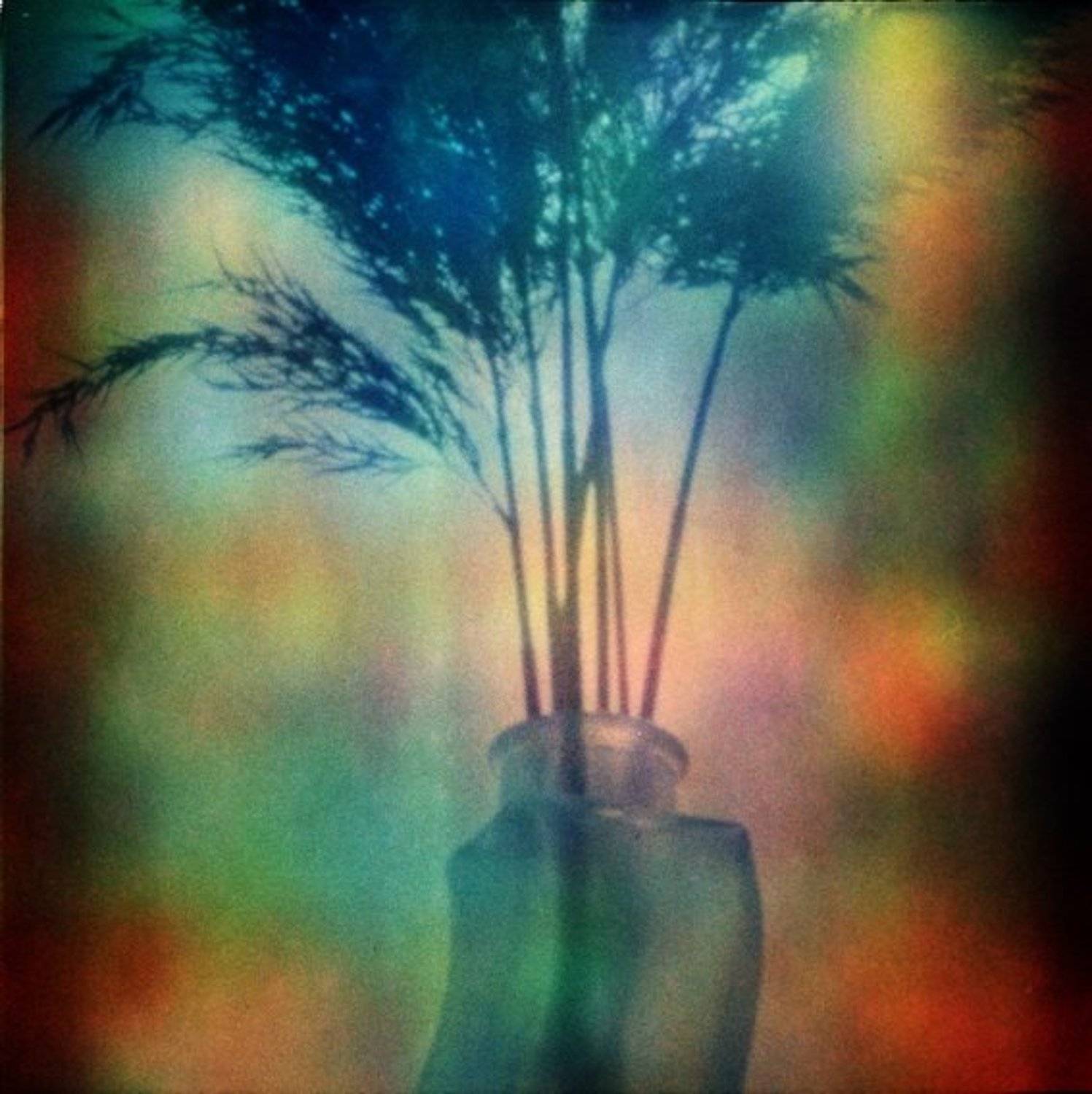 , Денис Хоменков