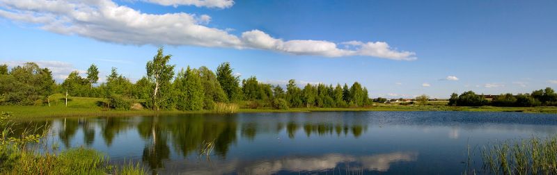 лето пруд облака У пруда фото превью