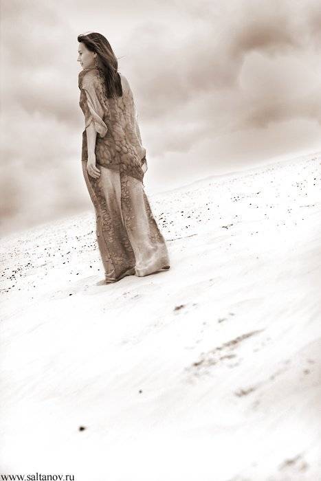 , Антон Салтанов