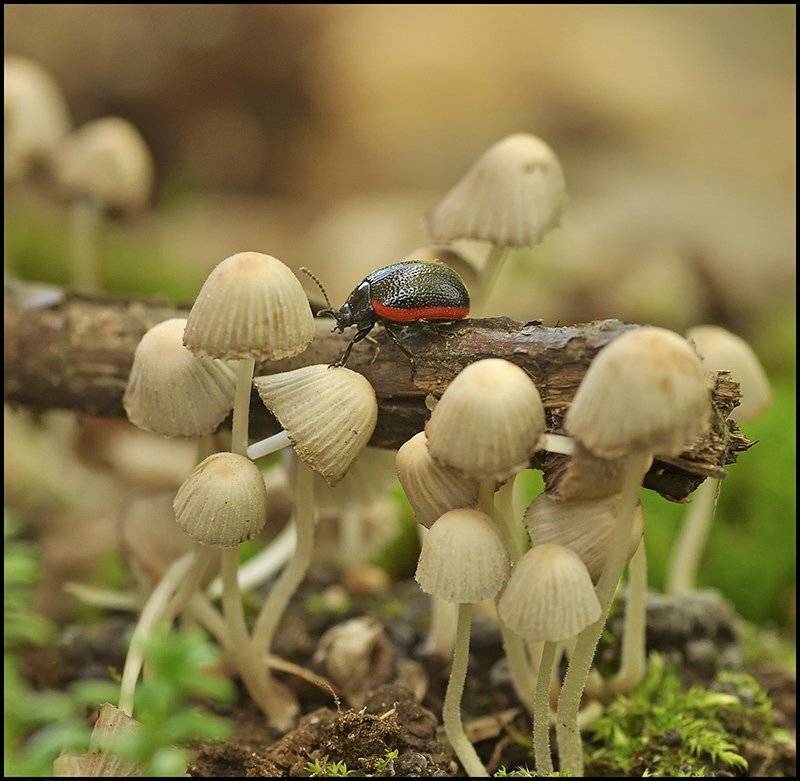 между, прошлым, и, будущем..., Андрей Осокин