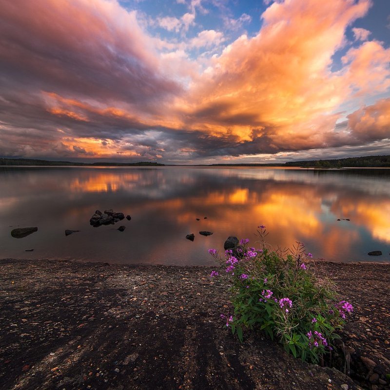 Закат на Волчихинском фото превью