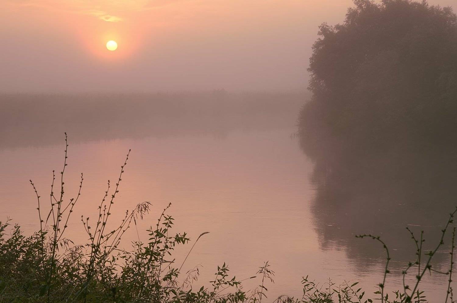 , Евгений strannik521