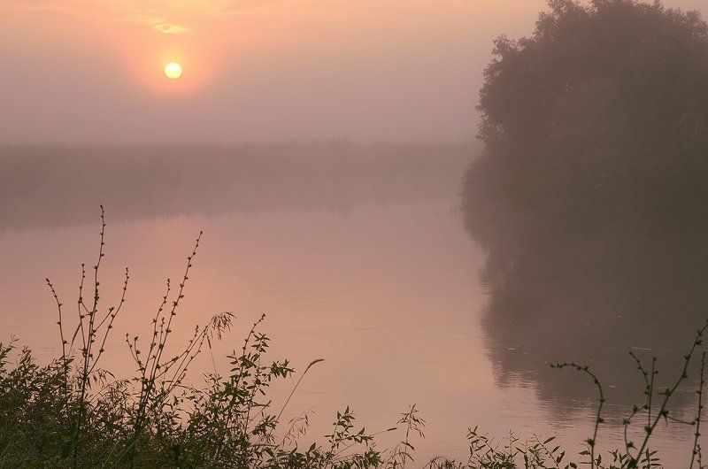 Туманный июль 2 фото превью