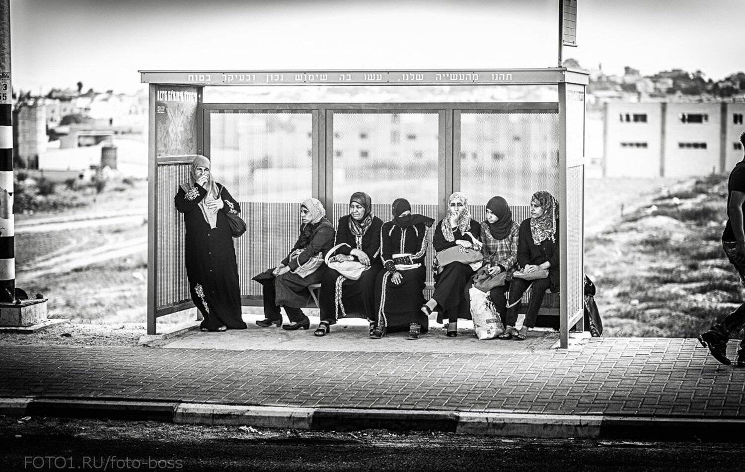 араб, Alexander Garnyshev