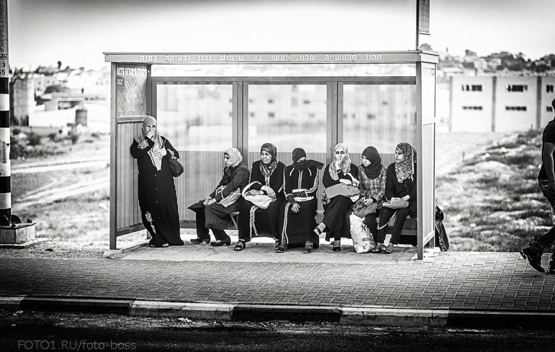 араб  фото превью