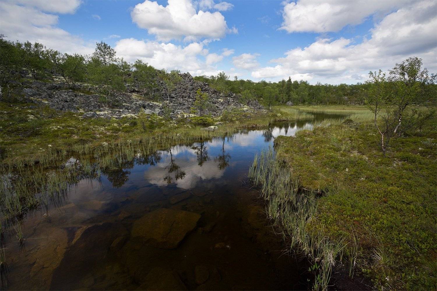 кольский, полуостров, лето, ручей, Nikolai (locus)