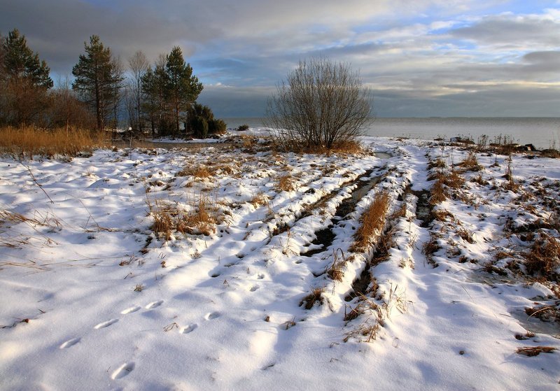 Зима на носу фото превью