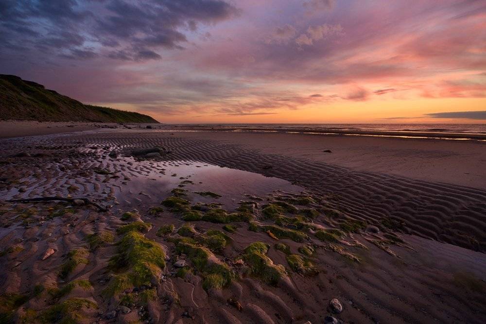 белое, море, север, Илья Бармин