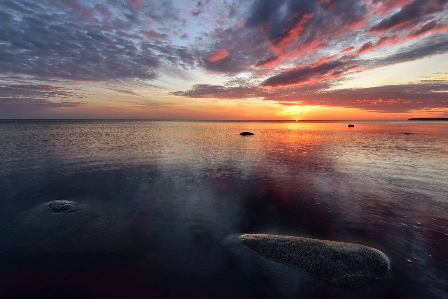 , Максим Евдокимов