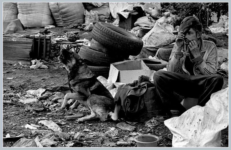 ...В последнем порту... фото превью