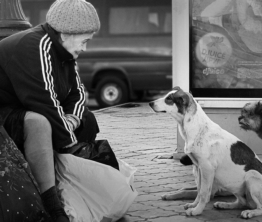 , Радковская Наталья